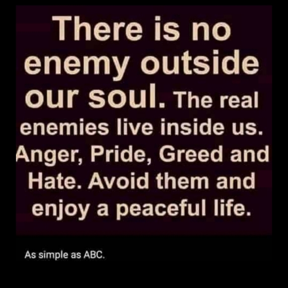 Meet your Posher, Kathy - Picture 15 of 16